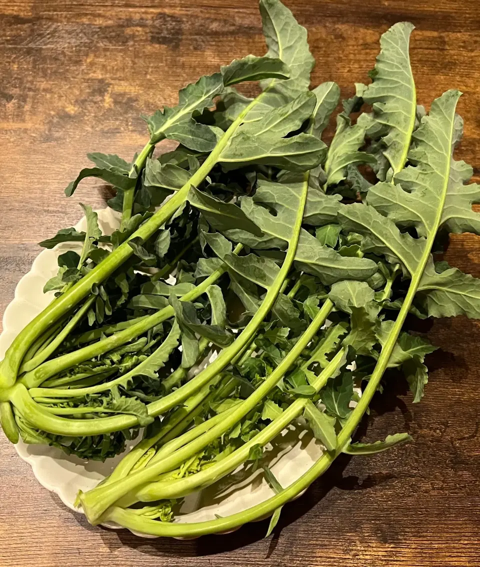 小林種苗 ブロッコリー種子 ブロッコリーフ＊種子有効期限2026年