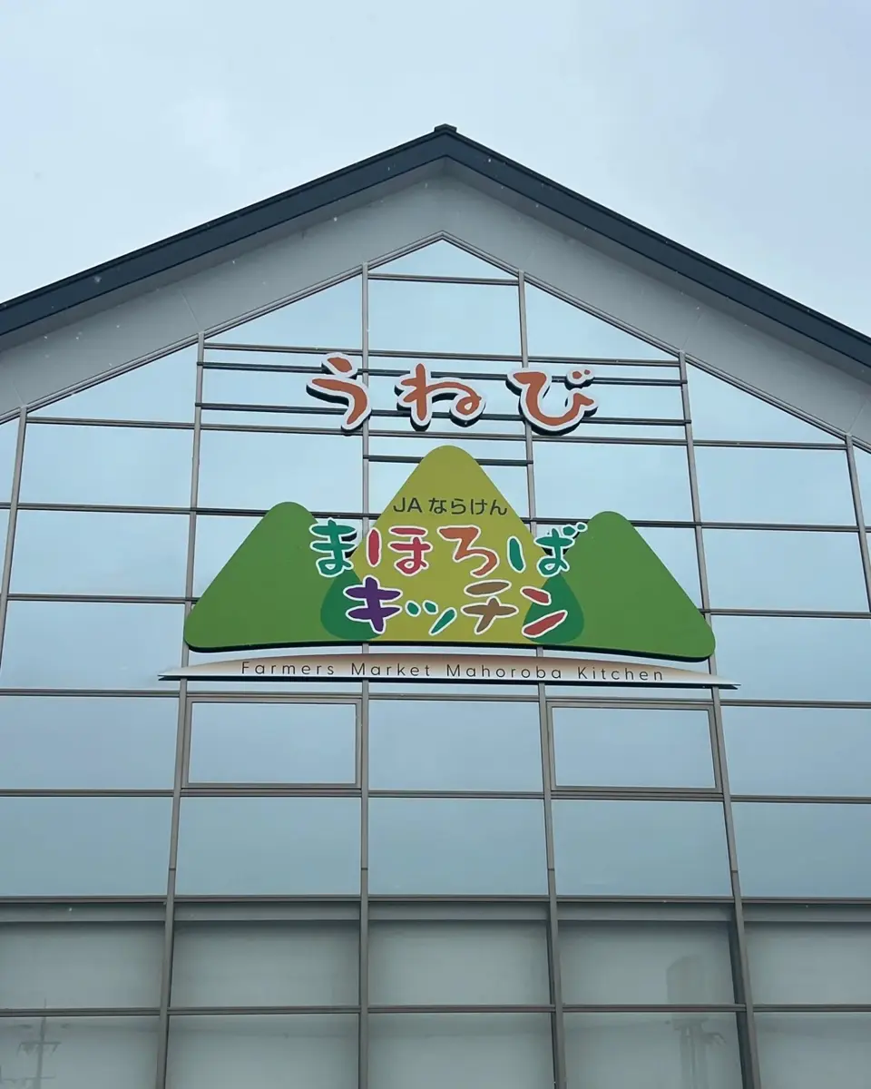 小林種苗 ナス種子 とげなししまじろう ＊種子有効期限2026年10月末