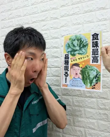テレーズ、人気！オリジナル交配種(2本植え)、苗、開花株 HD-FUYUZAKURA'24 SF,S-ESU/ATB | Deviser ｜株式会社ディ