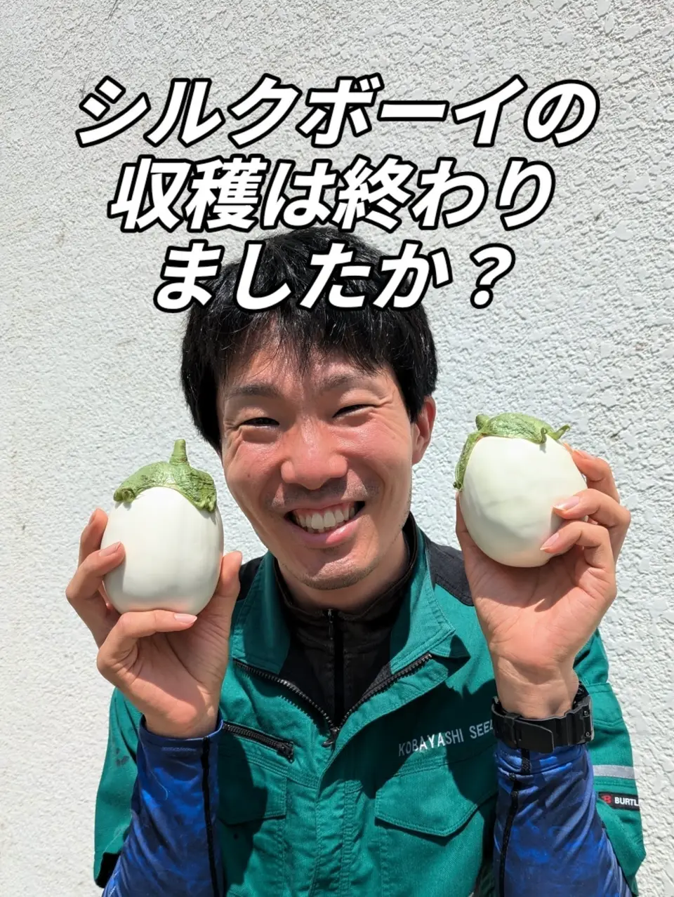 森户国次   肉筆 茄子】 森户国次 肉筆 茄子】