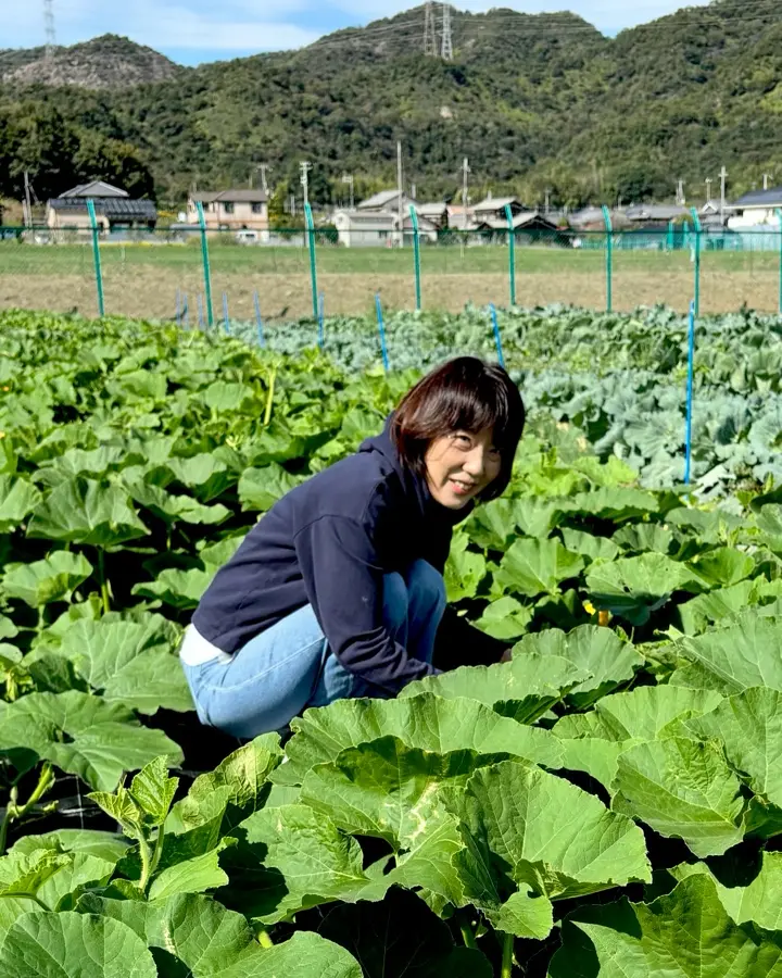 小林種苗 ピーマン種子 王様ピーマン(グリーン500号)＊種子有効期限