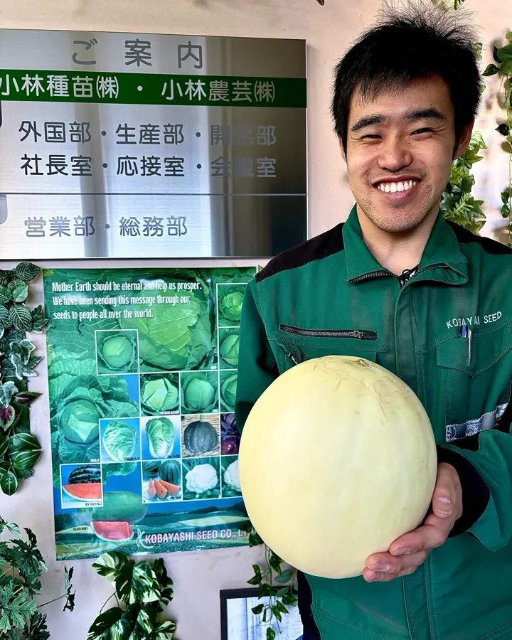 小林種苗 メロン種子 アカプルコ＊種子有効期限2026年8月末 | 小林種苗