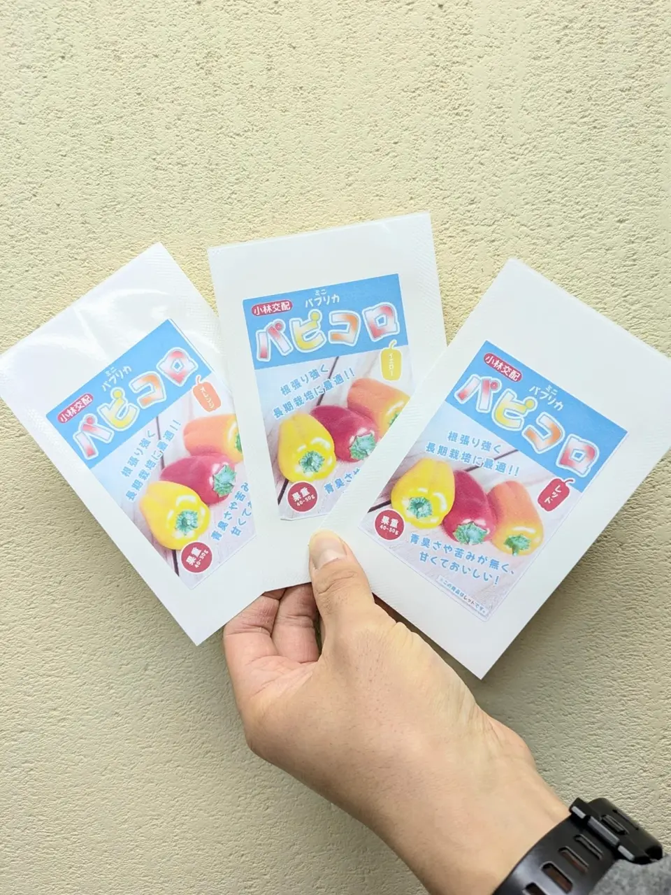 小林種苗 パプリカ種子 パピコロ ミニパプリカ(赤・黄・オレンジ