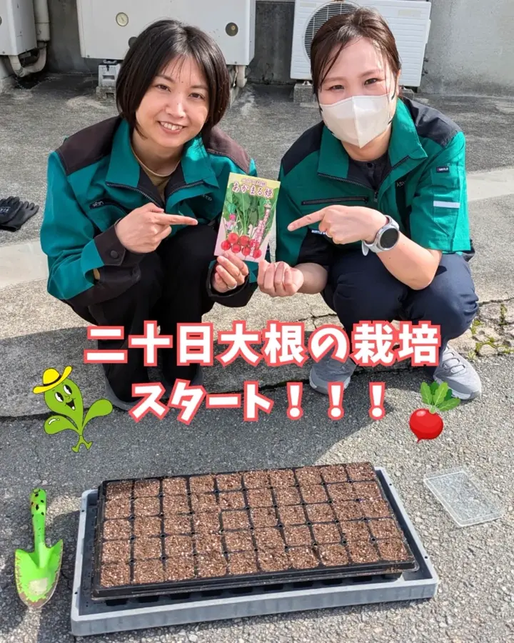 オーダー専用のページです～ちばちゃんの安心♡元気な 果樹の枝、野菜の種・苗 芽吹の季節になりました。 季節のお野菜 種子から苗を作って定植します