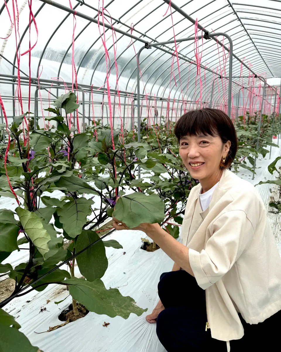 小林種苗 ナス種子 究極の茄子【2027年春種予約商品】 | 小林種苗公式通販