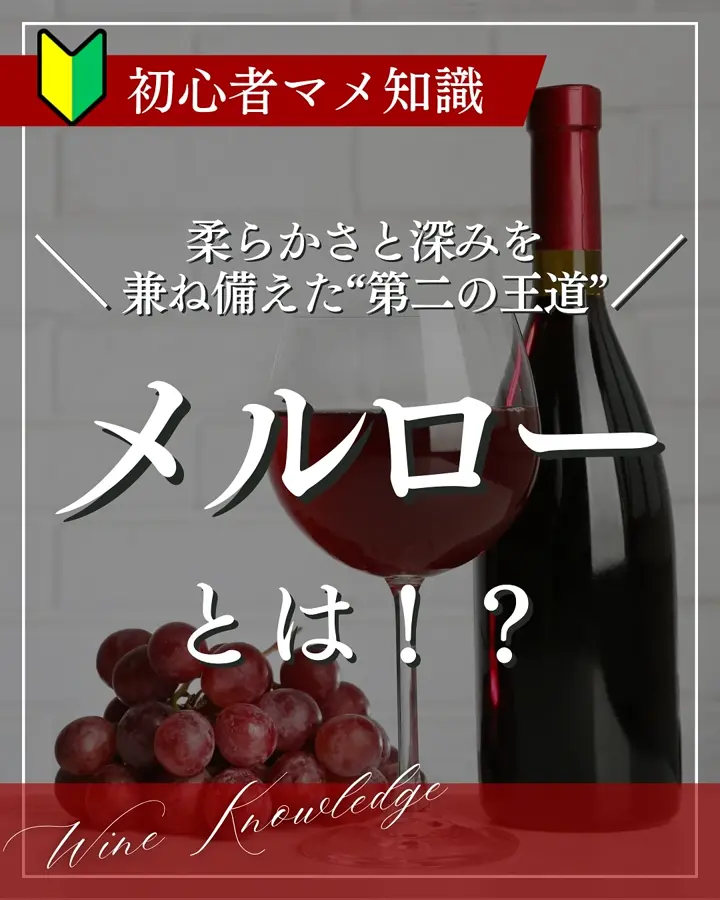 HOSPITALITY WINE|あらゆる場面に寄り添うワイン専門通販 HOSPITALITY WINE|あらゆる場面に寄り添うワイン専門通販