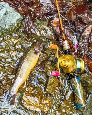 Hitotoki Works CHARAOJI完成品セット CHARAOJI完成品 - 渓流用トラウトロッド・ロッドビルディングメーカー