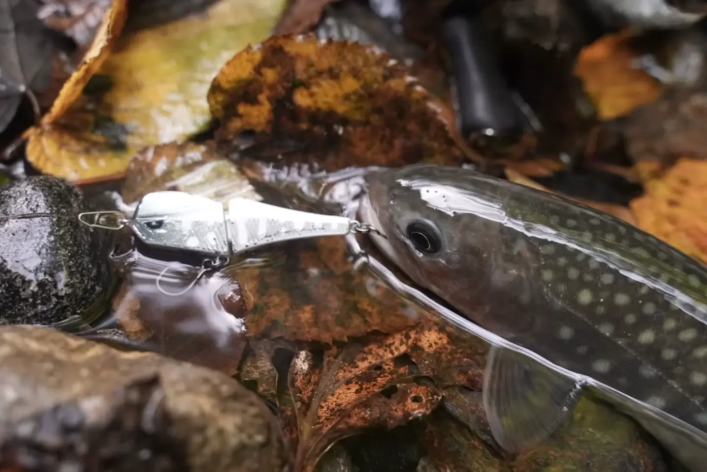 UKUR50S マットナクロスケ - 渓流用トラウトロッド・ロッド