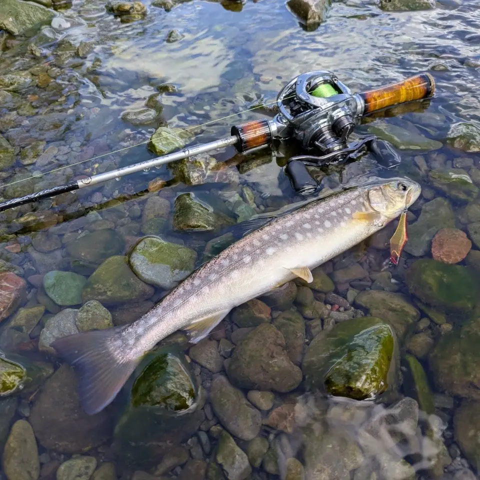 ROMAN(ロマン) - 渓流用トラウトロッド・ロッドビルディングメーカー