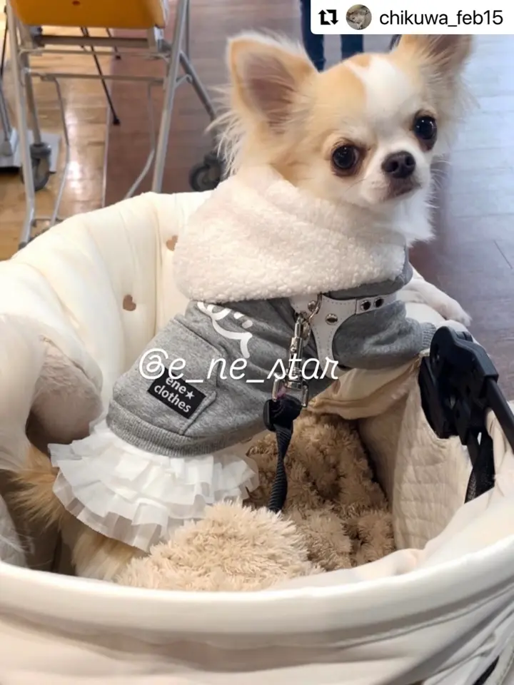 ドッグウェア・犬服の通販のene☆