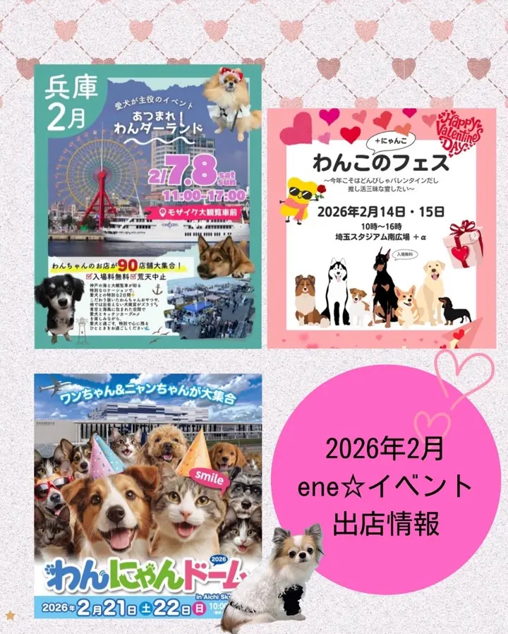 ドッグウェア・犬服の通販のene☆