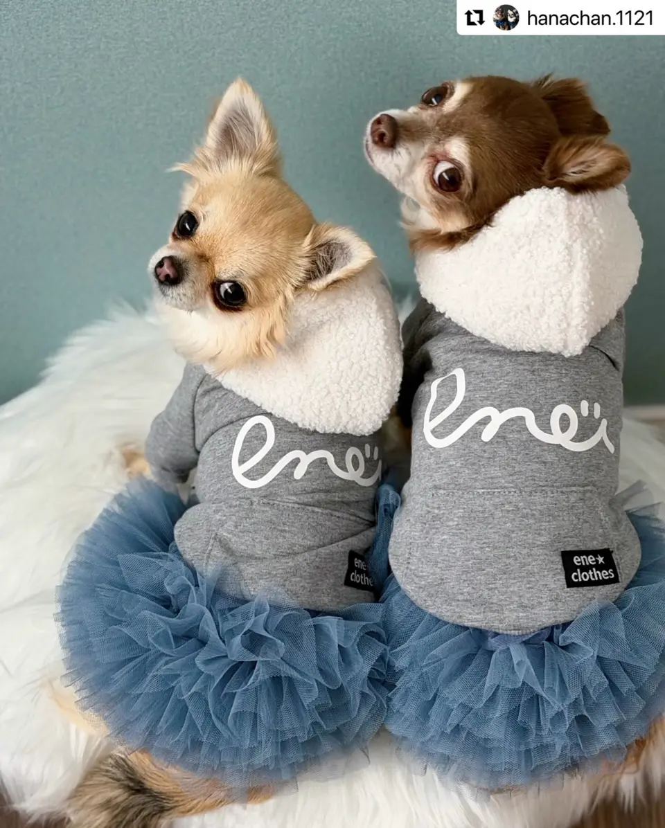 ドッグウェア・犬服の通販のene☆