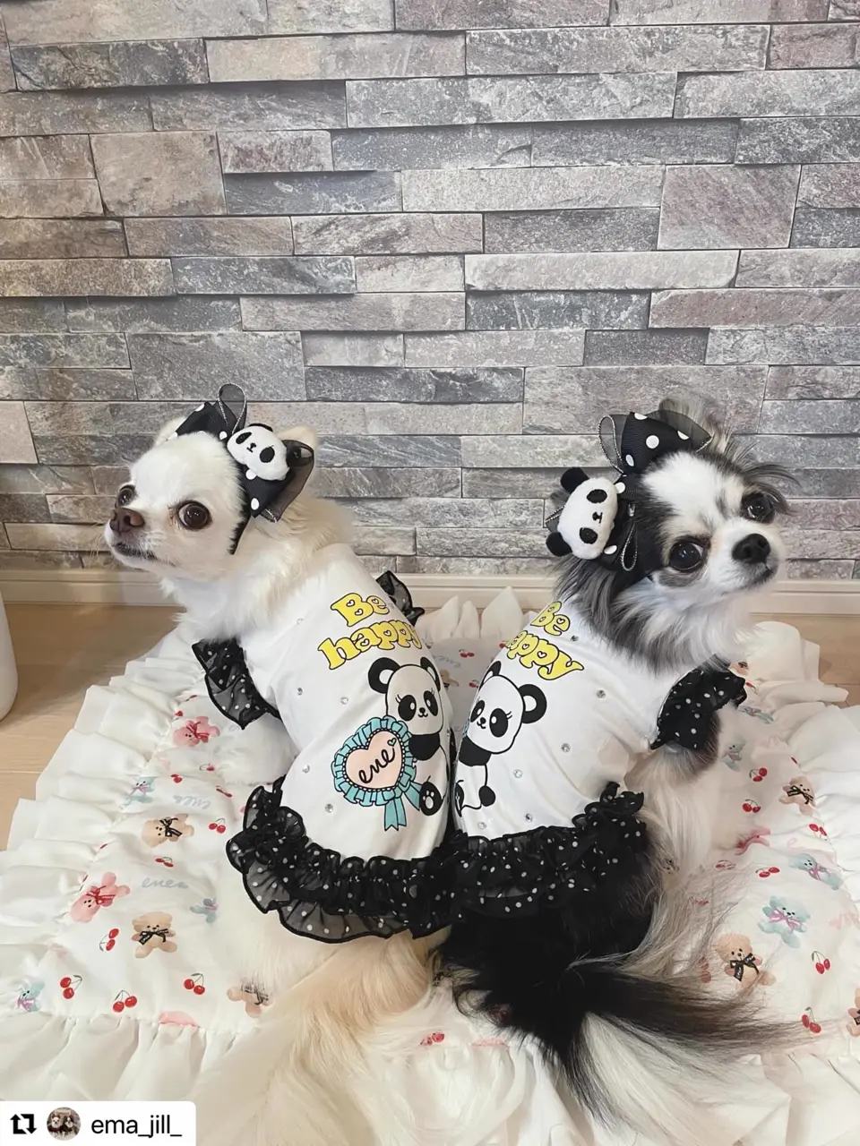 ene☆ レオパードニコちゃんパーカー、ワンピース、バレッタ 3点セット 1H ドッグウェア・犬服の通販のene☆