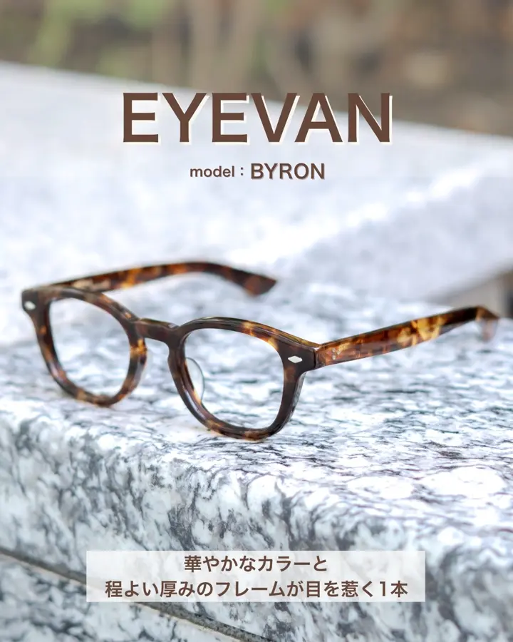 EYEVAN GOODMAN-SUN ピアノブラック/グレー 48(ピアノブラック/グレー