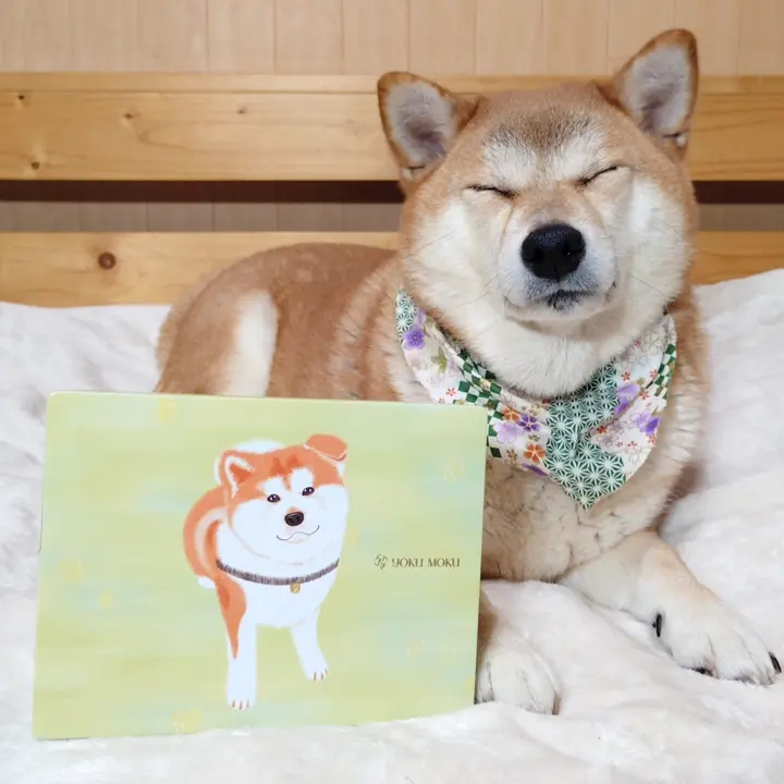 YOKUMOKU ヨックモック 公式オンラインショップ