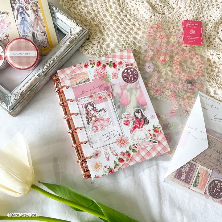 Aircraft創刊号～96号まで全97冊 専用バインダー付 Bine A6クリアバインダー 57987 pink gold | マインドウェイブ