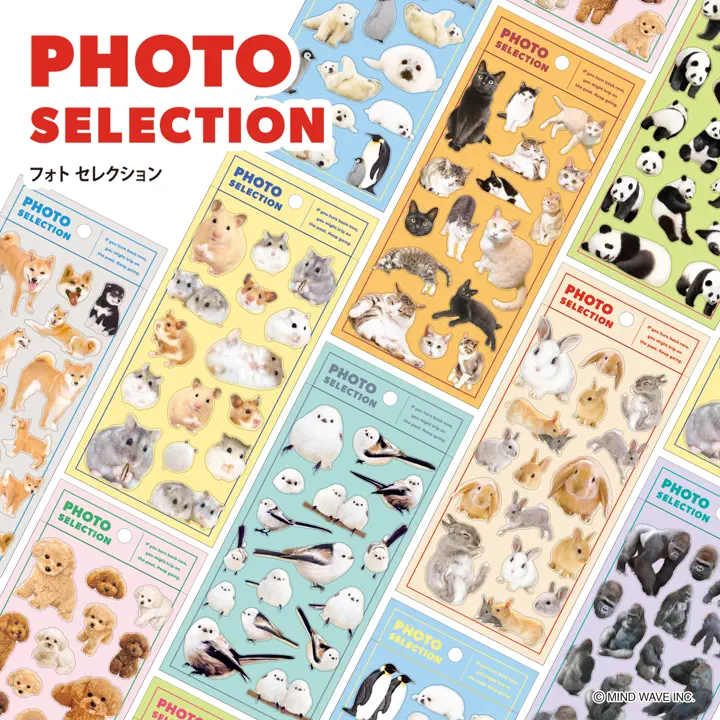 フォトセレクション ゴリラ | マインドウェイブオンラインストア