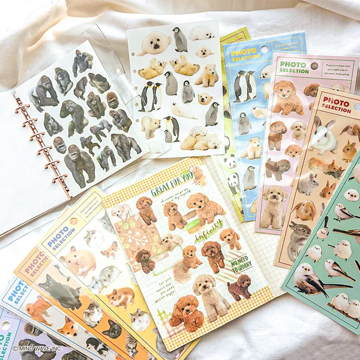 フォトセレクション シマエナガ | マインドウェイブオンラインストア