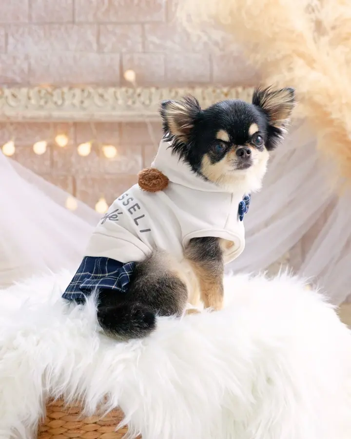 たかこ様☆犬服☆ハンドメイドオーダー‪☆4着✩.*˚ ココアトワ 公式SHOP - トップページ