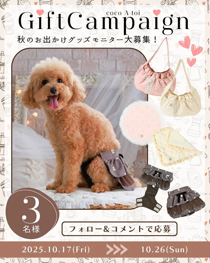 choco様❤️秋冬お洋服♡お帽子♡ハンドメイド犬服♡ CHOCO - clothes for dogs -