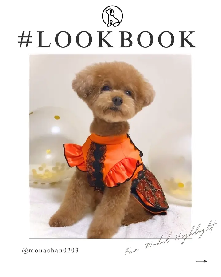 ココアトワ 公式SHOP - トップページ