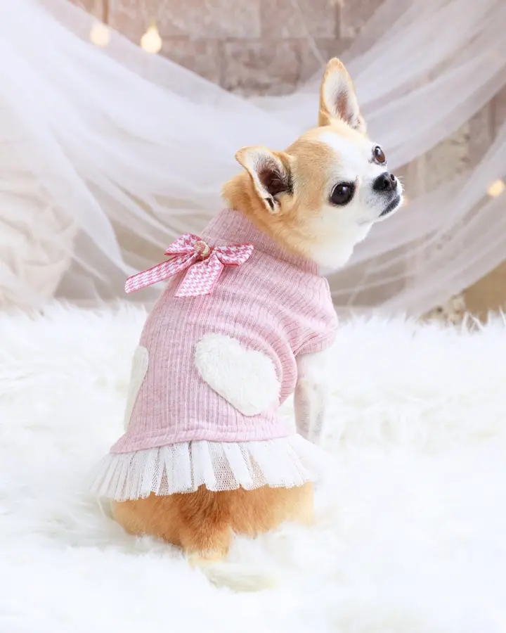 犬服専門ブランド coco A toi(ココアトワ)｜小型犬のための上質な犬服