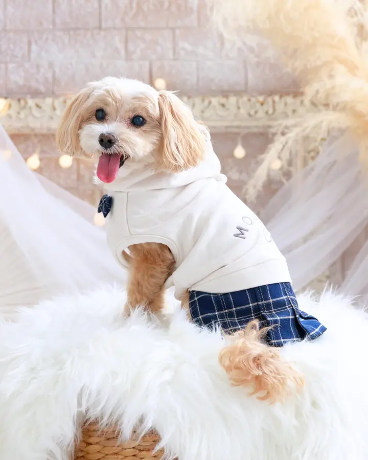 犬服専門ブランド coco A toi(ココアトワ)｜小型犬のための上質な犬服