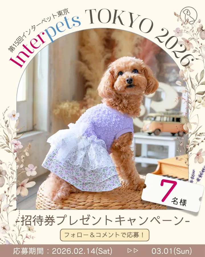 犬服専門ブランド coco A toi(ココアトワ)｜小型犬のための上質な犬服