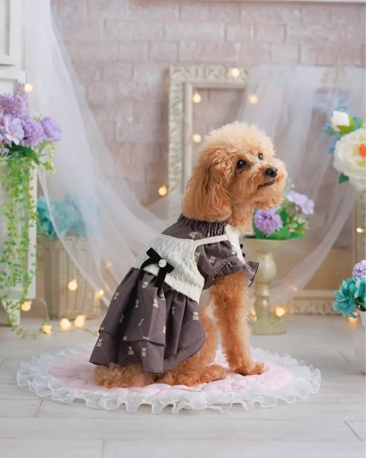 犬服専門ブランド coco A toi(ココアトワ)｜小型犬のための上質な犬服