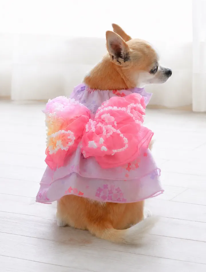 犬服専門ブランド coco A toi(ココアトワ)｜小型犬のための上質な犬服