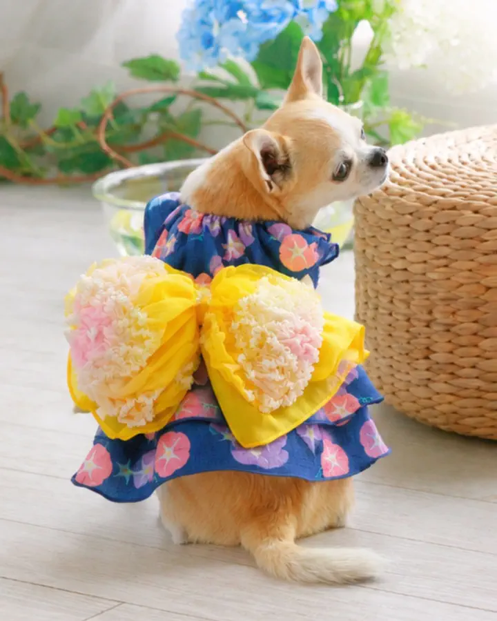 犬服　ここちゃん様　ご確認 犬服専門ブランド coco A toi(ココアトワ)｜小型犬のための上質な犬服