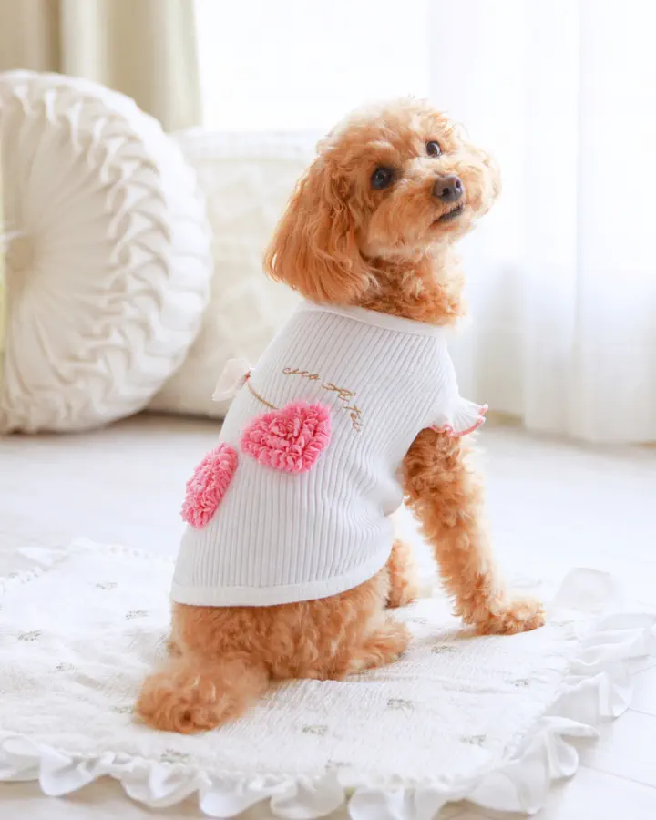 犬服専門ブランド coco A toi(ココアトワ)｜小型犬のための上質な犬服