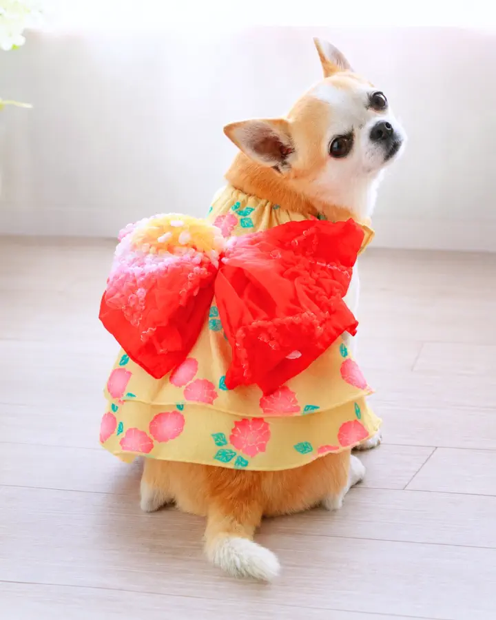 犬服専門ブランド coco A toi(ココアトワ)｜小型犬のための上質な犬服