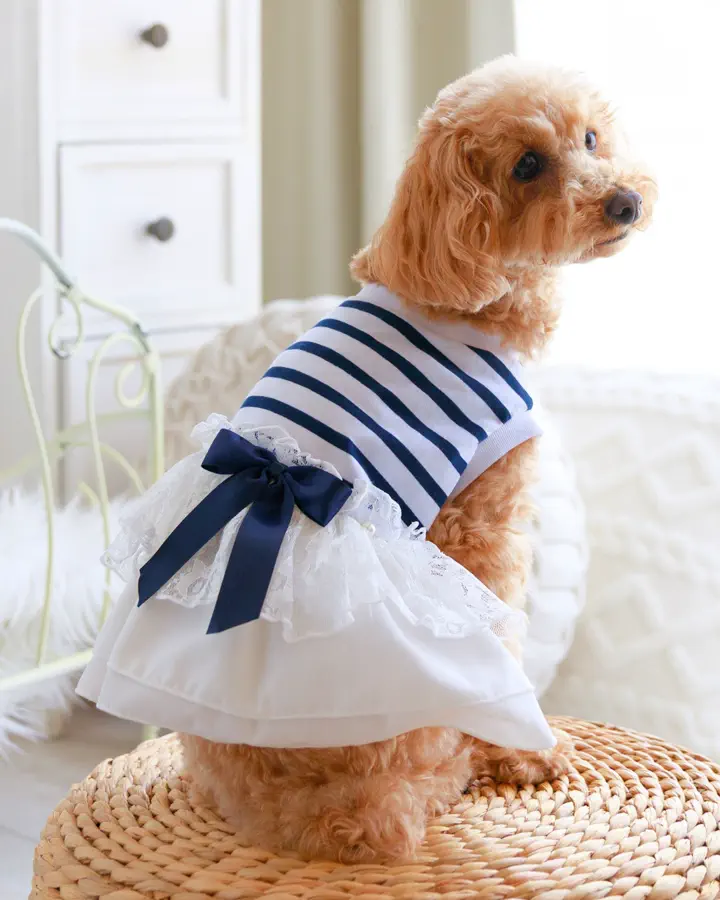 犬服専門ブランド coco A toi(ココアトワ)｜小型犬のための上質な犬服