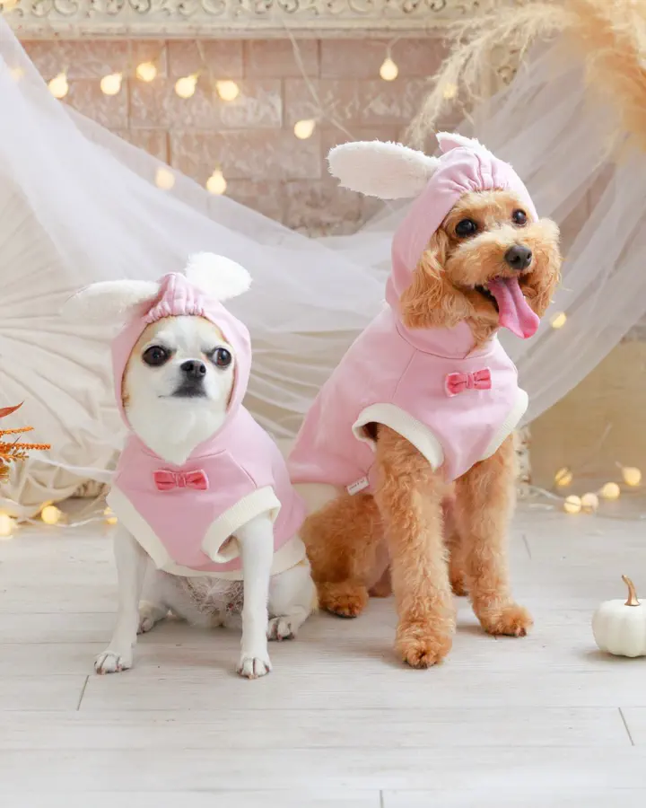 犬服ハンドメイドcoco様 18162761749424289_1_t_720.webp