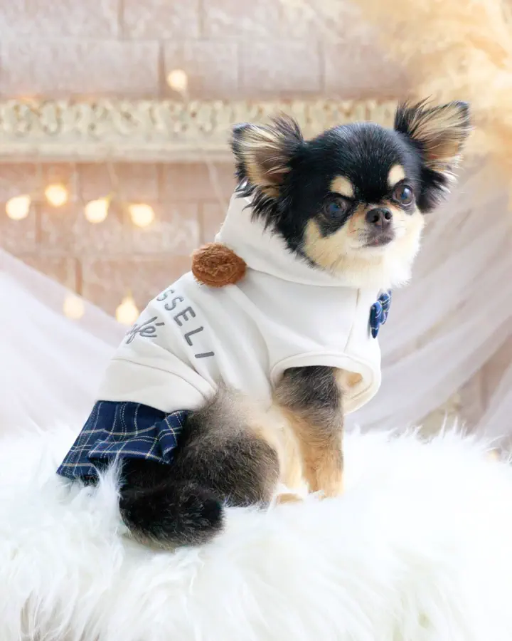 犬服専門ブランド coco A toi(ココアトワ)｜小型犬のための上質な犬服
