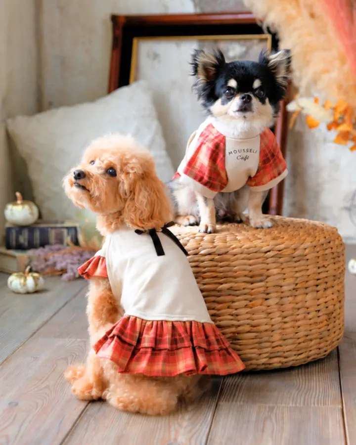 犬服専門ブランド coco A toi(ココアトワ)｜小型犬のための上質な犬服