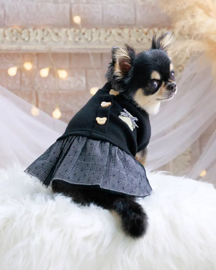 犬服専門ブランド coco A toi(ココアトワ)｜小型犬のための上質な犬服