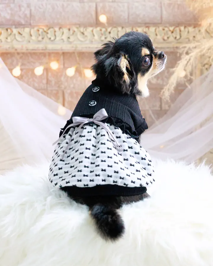 犬服専門ブランド coco A toi(ココアトワ)｜小型犬のための上質な犬服