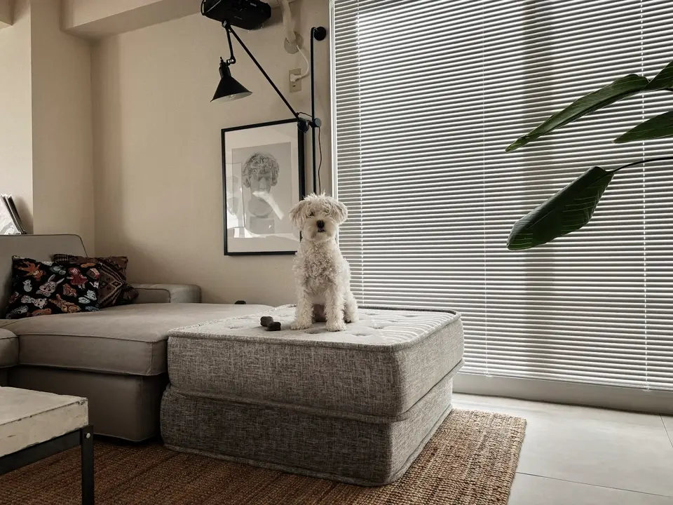 公式】Yogibo Modju Base（ヨギボー モジュ ベース） | Yogibo公式