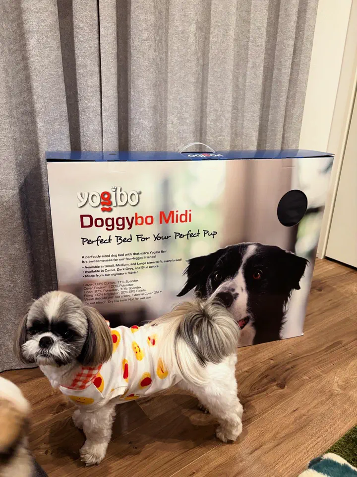 公式】Doggybo Midi（ドギボー ミディ） | 犬・猫用ペットベッド