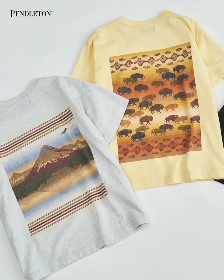 バックプリント コットンTシャツ - SAX【COYOTE STEALS THE FIRE