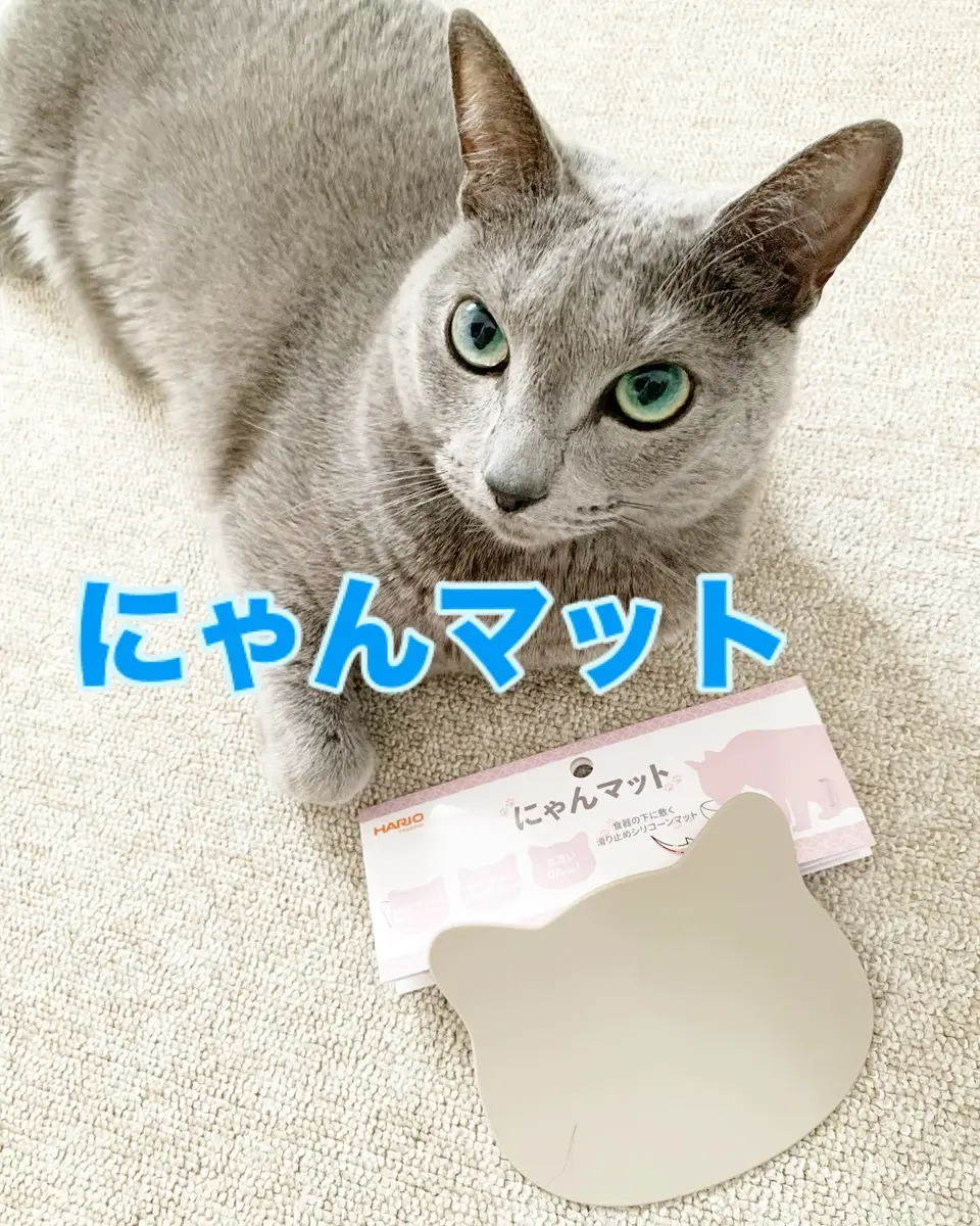 ねこにゃんページ 6980003400_03.jpg