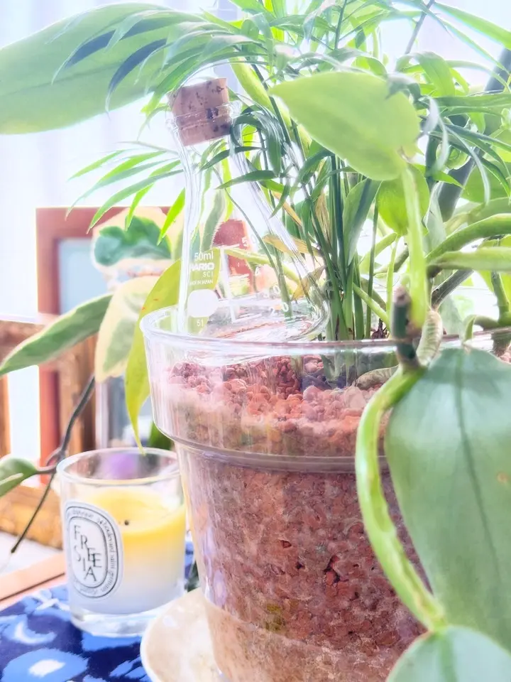 ビーカーの穴あき鉢 –植木鉢・プランターなら HARIO NETSHOP
