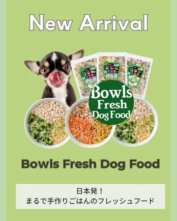 Bowls Fresh Dog Food チキンブレンドミックス BFDFREV3-00 | ボウルズ