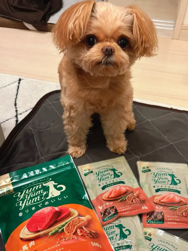 yum yum yum！ 馬肉 ドライタイプ YUMYYH20-00 | ヤムヤムヤム | GREEN