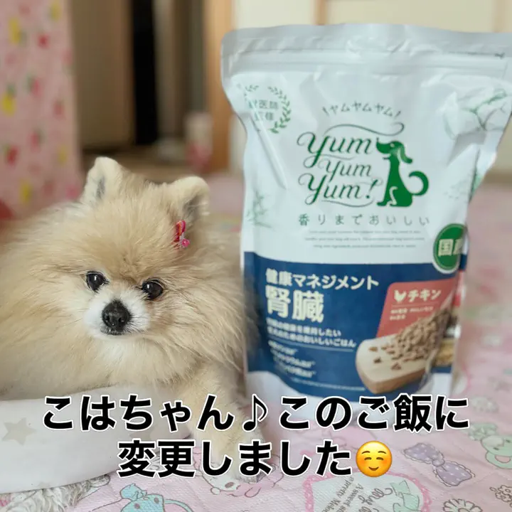 yum yum yum！ 健康マネジメント腎臓 YUMYYZ20-00 | ヤムヤムヤム