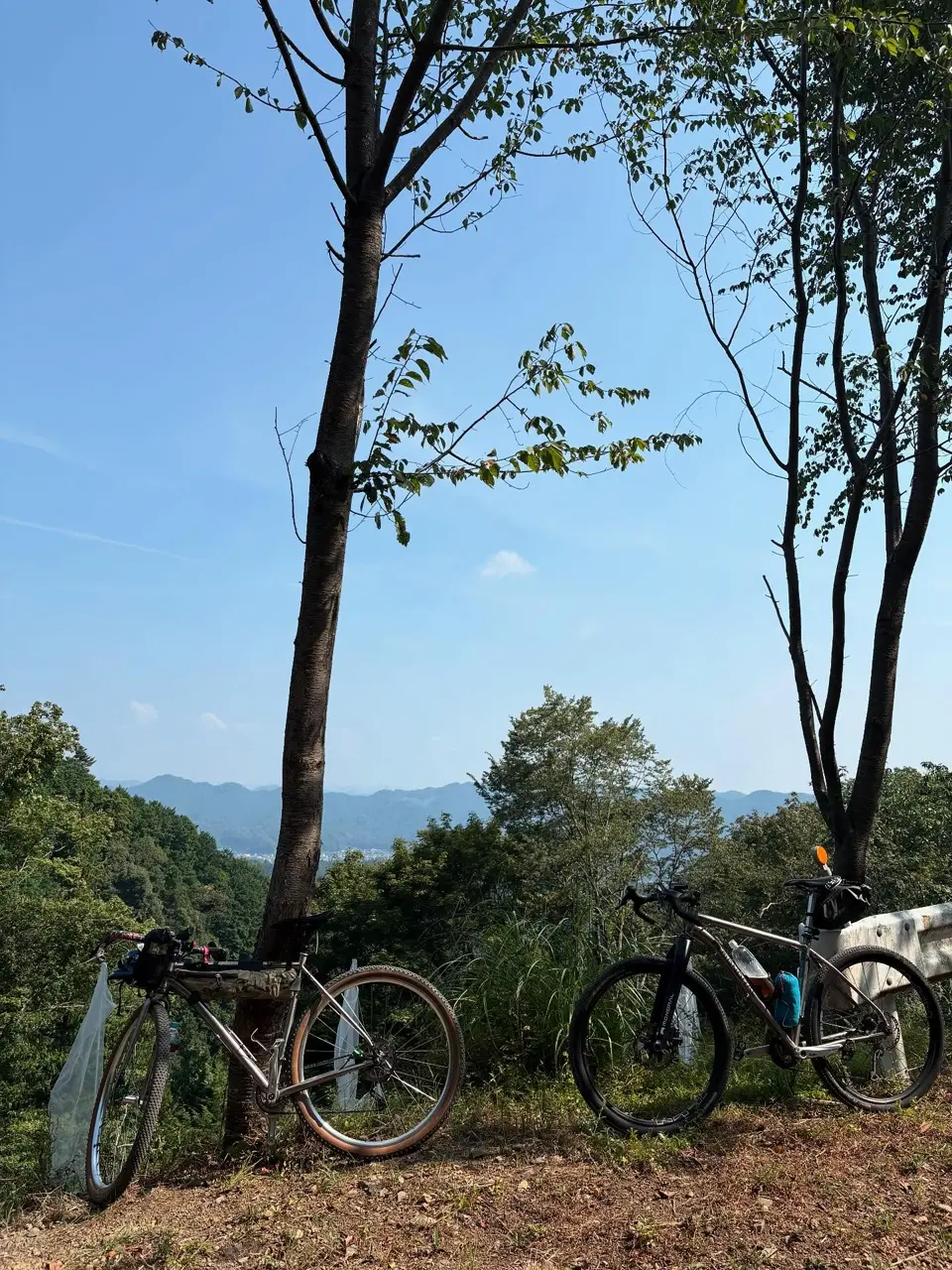 monoralbikesの投稿(1409646000070496256)