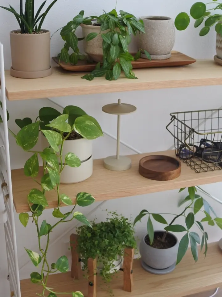 Pala パーラ ポータブルランプ | すべての商品 | 【公式】ディクラッセ