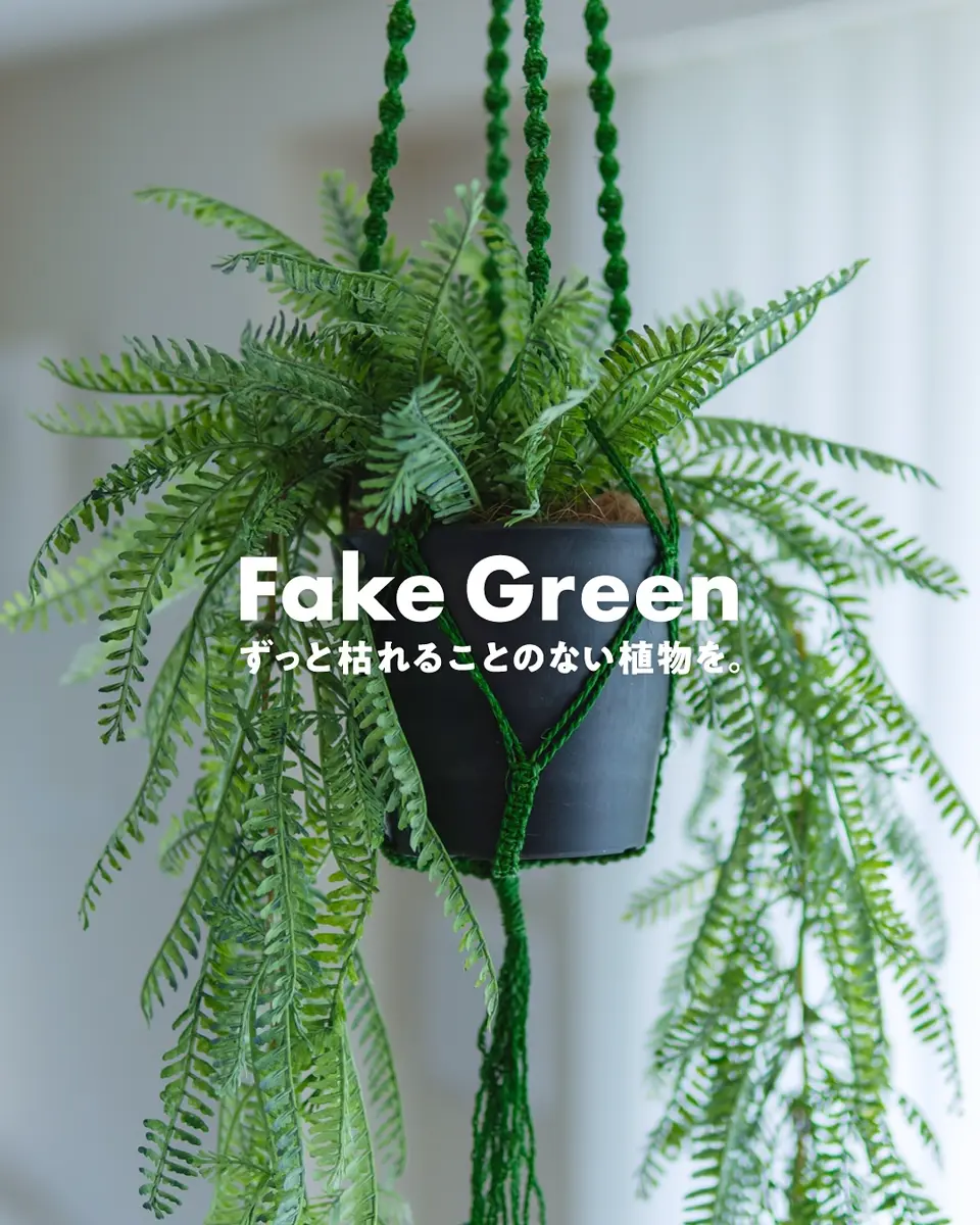 ソードファン モスボール（麻紐付き）｜フェイクグリーンならデコレラ